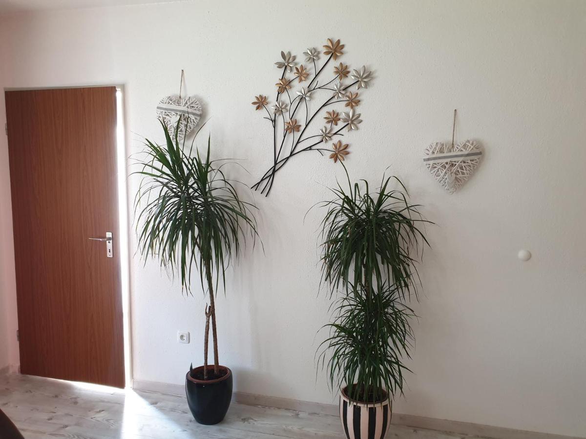 פורת אים וואלד Ana'S Ferienwohnung מראה חיצוני תמונה